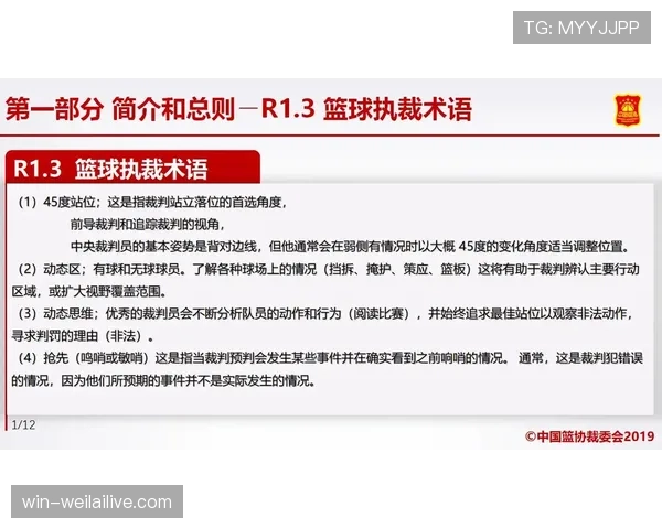 篮球裁判执裁时对于持球规则的具体界定与判罚依据解析