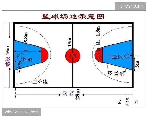 篮球规则深度解析：抢篮板犯规判定的具体标准